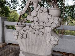 -银湖山郊野公园-相思林