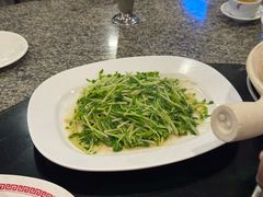 -中国城银都鱼翅酒楼