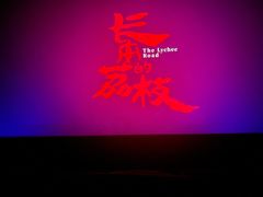 -万达影城(城中万达广场激光IMAX店)