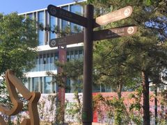 -大兴滨河森林公园