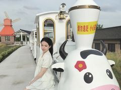 -杭州湾海上花田景区