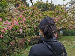 -重庆平顶山公园