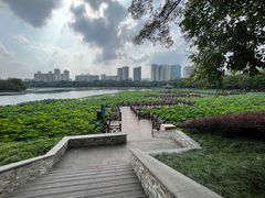 -南宁南湖公园
