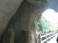 -蛇蟠岛