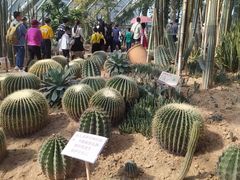 -东莞植物园