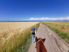 -青海湖国家重点风景名胜区