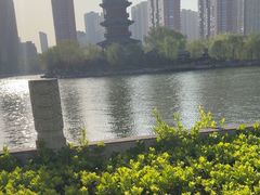 -迎泽公园