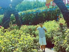 -长春农业博览园