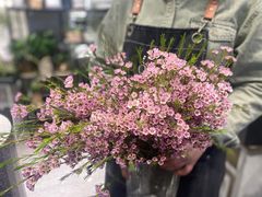 -豆豆花艺(新光天地店)