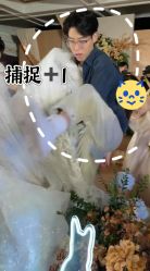 -蘭club婚礼策划