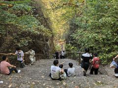 -天女山森林公园
