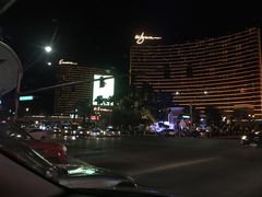 -拉斯维加斯永利酒店