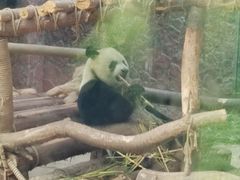 -黔灵山公园