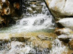 -墨池公园