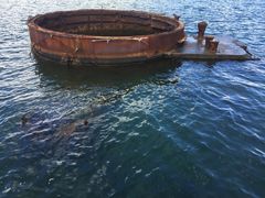 -珍珠港国家纪念馆