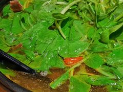 -吕记老鸭汤·徽菜馆(东营路店)