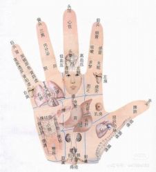 -香薇妮丝女子减肥院