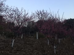 -鲁迅公园