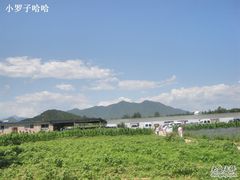 -北京东方普罗旺斯薰衣草庄园