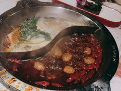 -大龙燚火锅