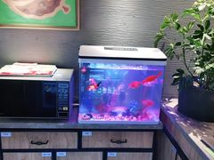 -渝是乎酸菜鱼(龙旗购物中心店)