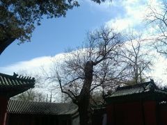 -历代帝王庙博物馆