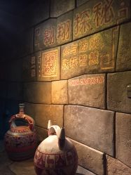 -翱翔飞越地平线