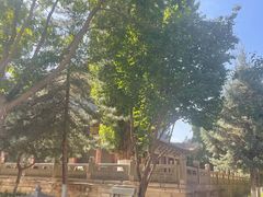 -张掖大佛寺景区