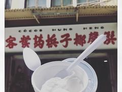 -洪馨椰子