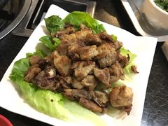 -蘑统田下·野生菌火锅