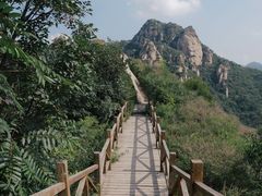 -大岭沟猕猴桃谷风景区