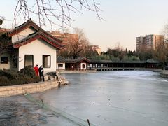 -团结湖公园
