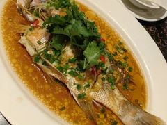 -桃源春晓中餐厅 TaoYuan Restaurant