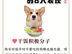 -申普宠物医院·眼科·心内科·影像科(普陀分院)