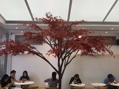 -艾薯夫妇Aysh(福田星河COCOPark店)