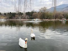 -西安秦岭野生动物园