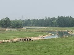 -北京麋鹿生态实验中心