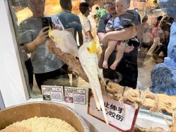 -Zoolung Zoolung动物主题公园(海信广场店)