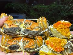 -黄记大闸蟹专卖店·活蟹·醉蟹