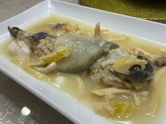 -孔庆璞河豚馆(白玉兰酒店)