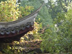 -上海醉白池公园