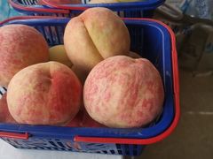 -宾湖农庄·农场特色(太湖龙之梦店)