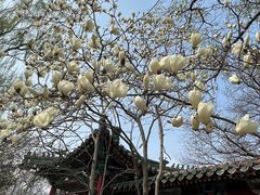 -菖蒲河公园