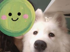 -安格丽娜·狗咖·猫咖羊驼咖(春熙路百盛商场店)