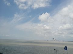 -东平国家森林公园