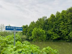 -苏州太湖国家湿地公园