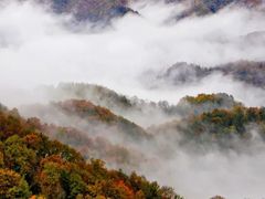 -神农架景区
