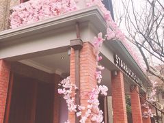 -星巴克臻选(思南公馆店)