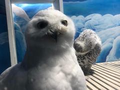 -成都浩海立方海洋公园