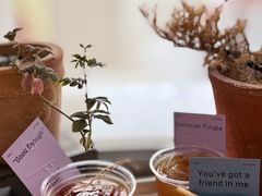-O.P.S. CAFE